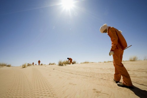 Photographie de reportage corporate "men at work" réalisé pour Total Exploration Production dans le désert de Taoudéni en Mauritanie - Illustration d'une campagne de prospection sismique - Installation de géophones dans le sol. | Philippe DUREUIL Photographie
